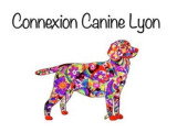 Connexion Canine Lyon