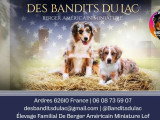 Des Bandits du Lac