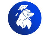 Académie des 4 pattes
