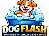 Dog Flash