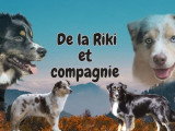 De la Riki et Compagnie
