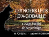 Les Noers Leus D'a-Gobaille