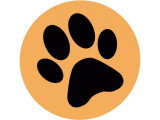 Animal'Art Studio
