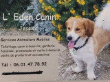 L' Eden Canin