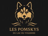 Pomskys du Lac du Tolerme