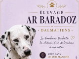 Ar Baradoz