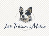 Des Trésors de Méléa