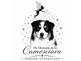 Du Domaine de la Camosciara