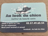 Au look du chien