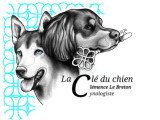 La clé du chien