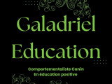 Galadriel Education