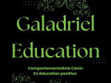 Galadriel Education