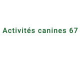 Activités canines 67