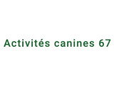 Activités canines 67