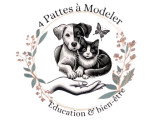 4 Pattes à Modeler