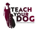 Teach Your Dog