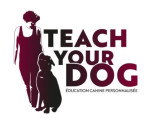 Teach Your Dog