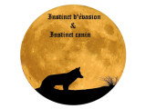 Instinct Canin