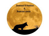 Instinct Canin