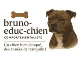 Bruno-Educ-Chien