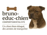 Bruno-Educ-Chien