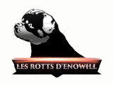 Les Rotts d’Enowill