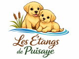 Les Étangs de Puisaye