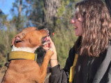 Kind Dog Training