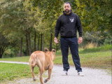 Educ dogs and masters