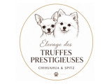 Des Truffes Prestigieuses