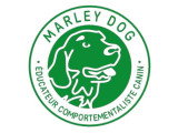 Marley Dog 