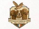 D'Hurtevent