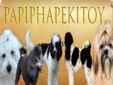 Papiphapekitoy