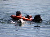 Nauticanin
