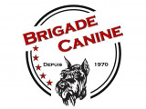 Brigade Canine