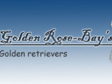 Golden Rose Bay's