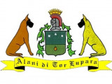 Tor Lupara