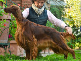 Della Blenda