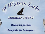 Of Watson Lake