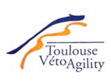Toulouse Véto Agility (TVA)