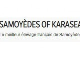 Les Samoyedes Of Karasea