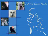 Definitive Cherish
