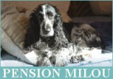 Pension Milou
