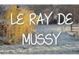 Le ray de Mussy