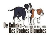 De Kalinka des Roches Blanches