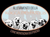 Della Rocca dei Patous