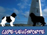 Cape lewisporte