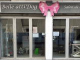 Belle Atti’Dog