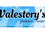 Valestory's