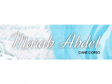 El-canecorso Marab Abdel